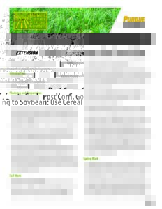 Post Corn, Going to Soybean: Use Cereal Rye