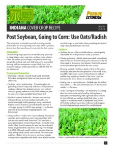 Post Soybean, Going to Corn: Use Oats/Radish